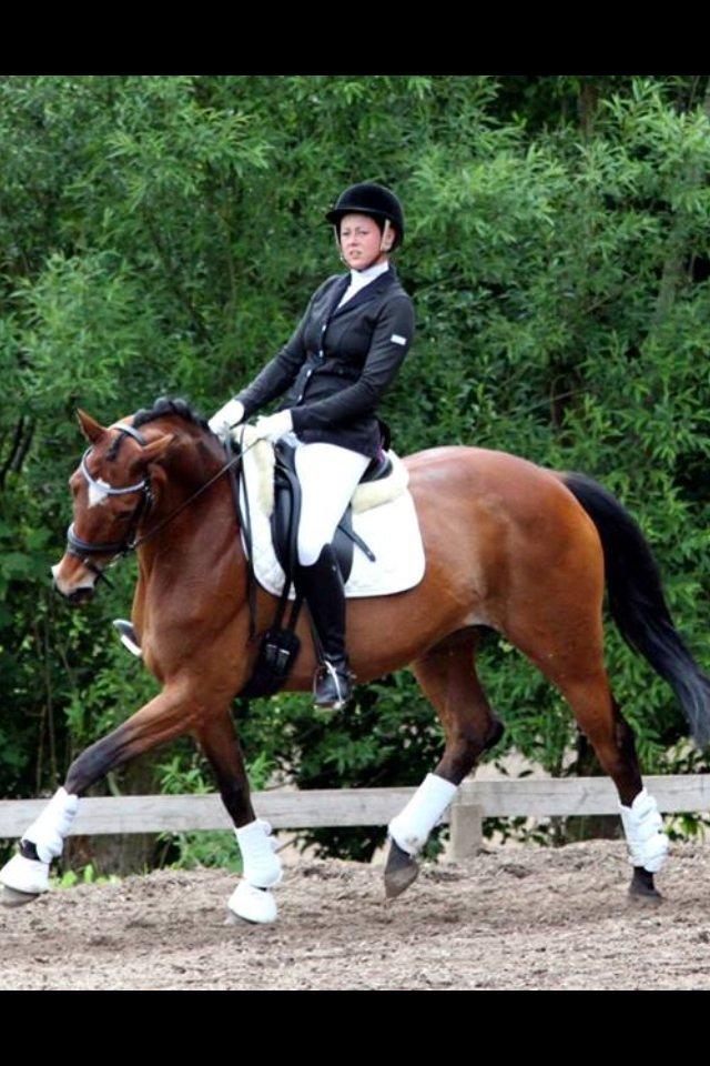 Trakehner Anastasia billede 5
