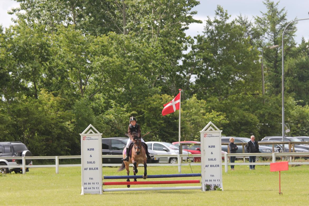 Welsh Partbred (Sec F) Kildegård Laura - prinsessen <3 i flyvende fart hen over det anden sidste spring du er for sej ;) billede 15