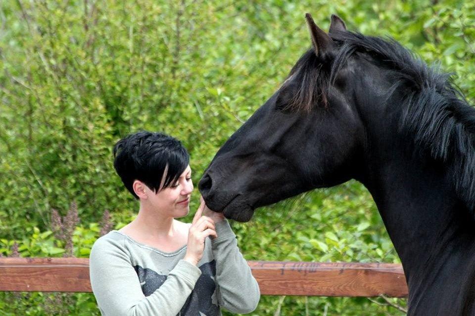 Anden særlig race jens billede 12