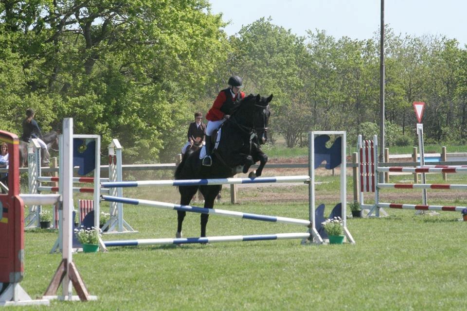 Oldenborg Hr. Man  - Første La* billede 12