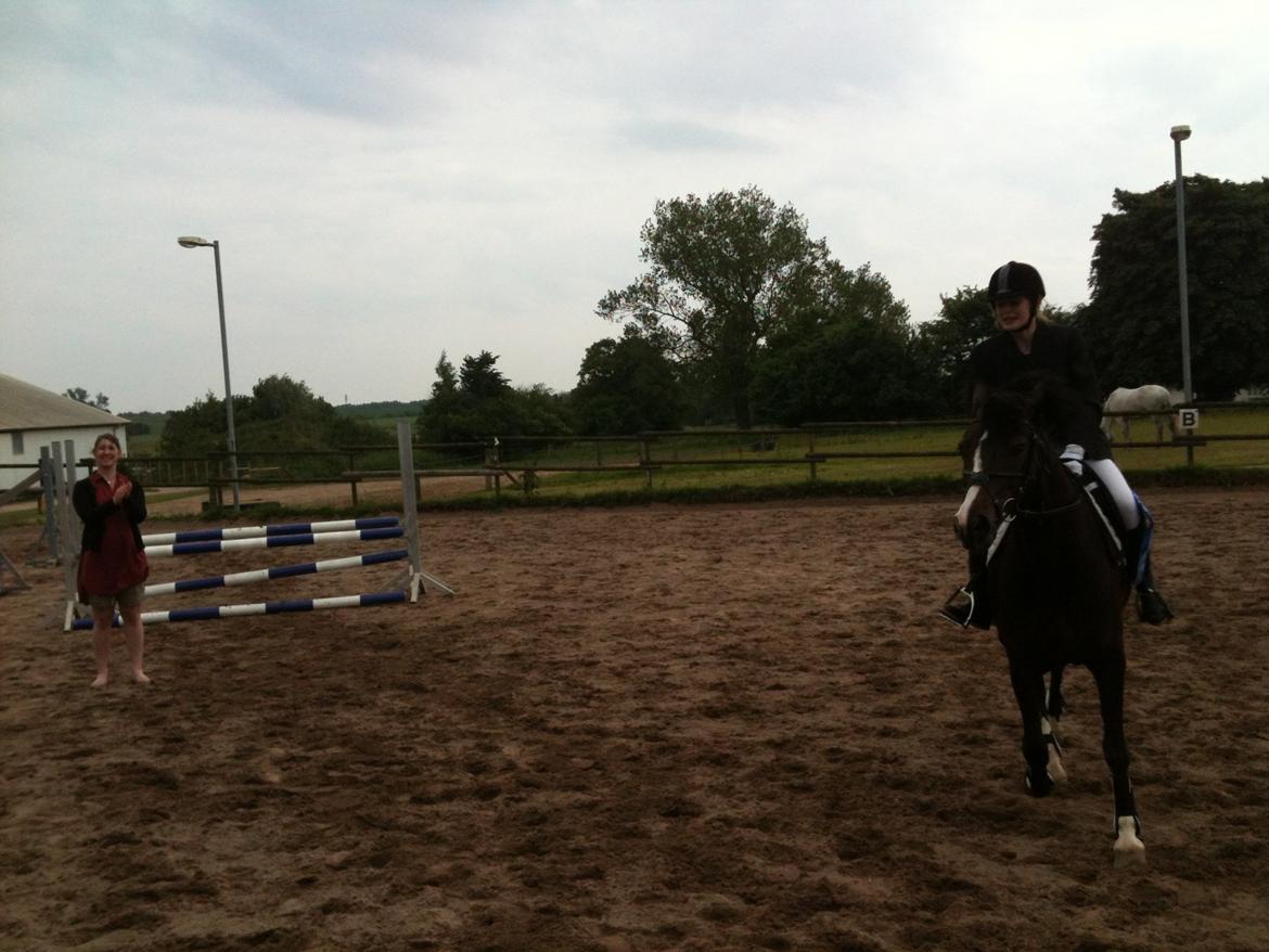 New Forest Chamsiin - æresrunde til vores første spring stævne <3<3 billede 7