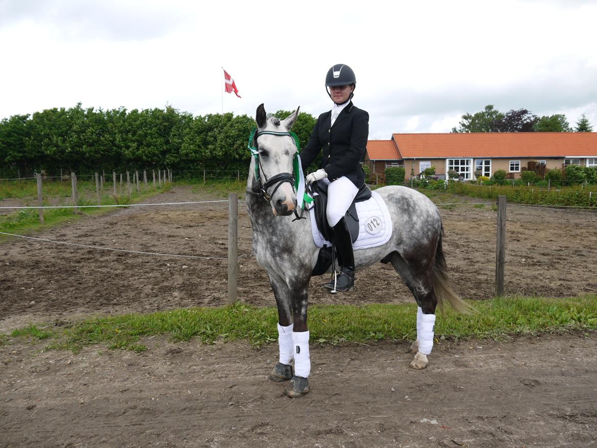 Anden særlig race Armani - B-pony - 3. bedste på Fyn!! billede 11