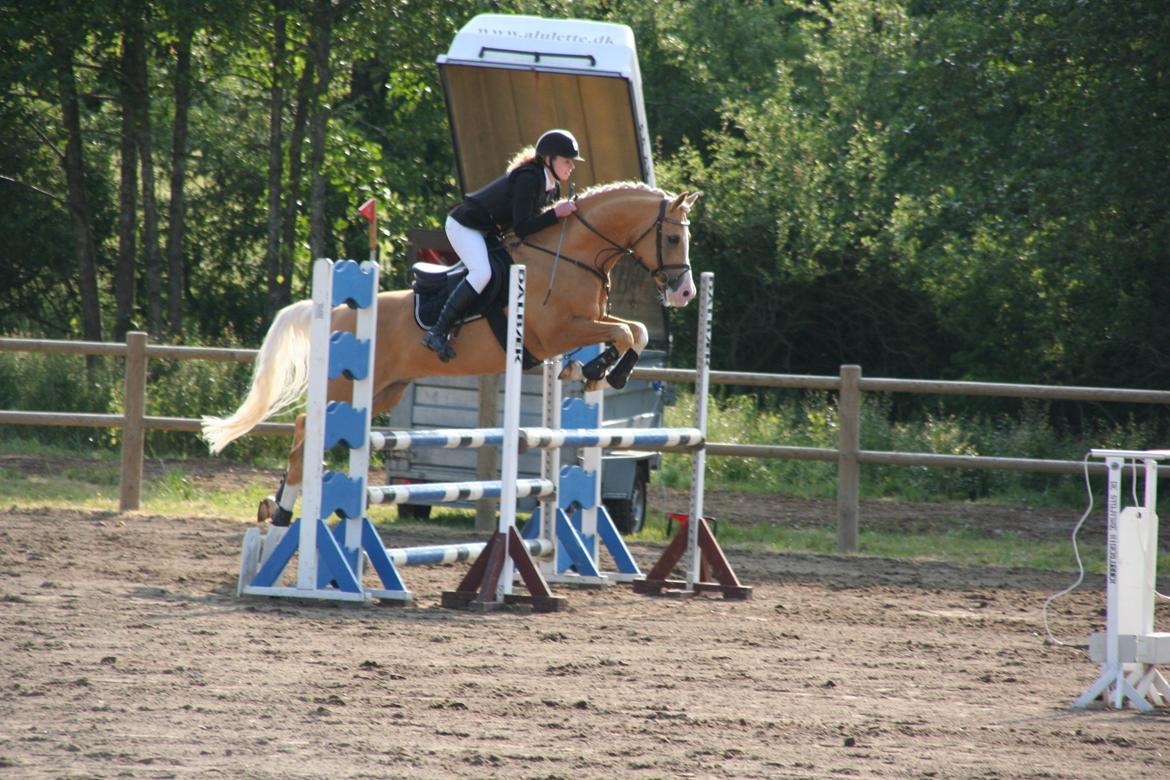 Palomino Shulay Gold Fever - Vejle C-stævne 15/6-13 
Foto: Juliette De Richelieu billede 12