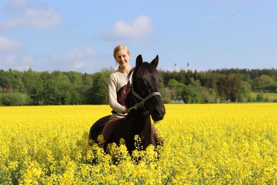 Anden særlig race Champass Antonius - Elsker virkelig det her billede det er bare så godt.
jeg gider ikke og høre på at vi ikke må ride der for det ved i ikke noget om... billede 10