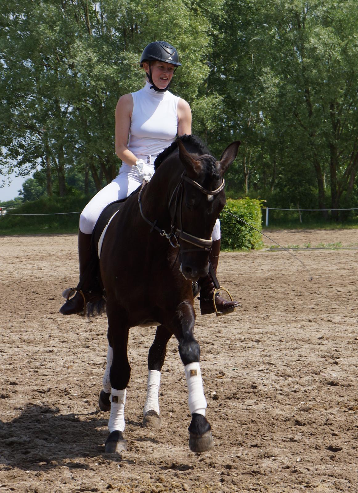 Pura Raza Española Divino XXXVIII billede 8