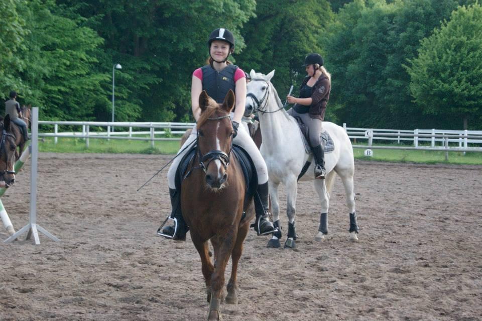 Anden særlig race Jamie billede 17