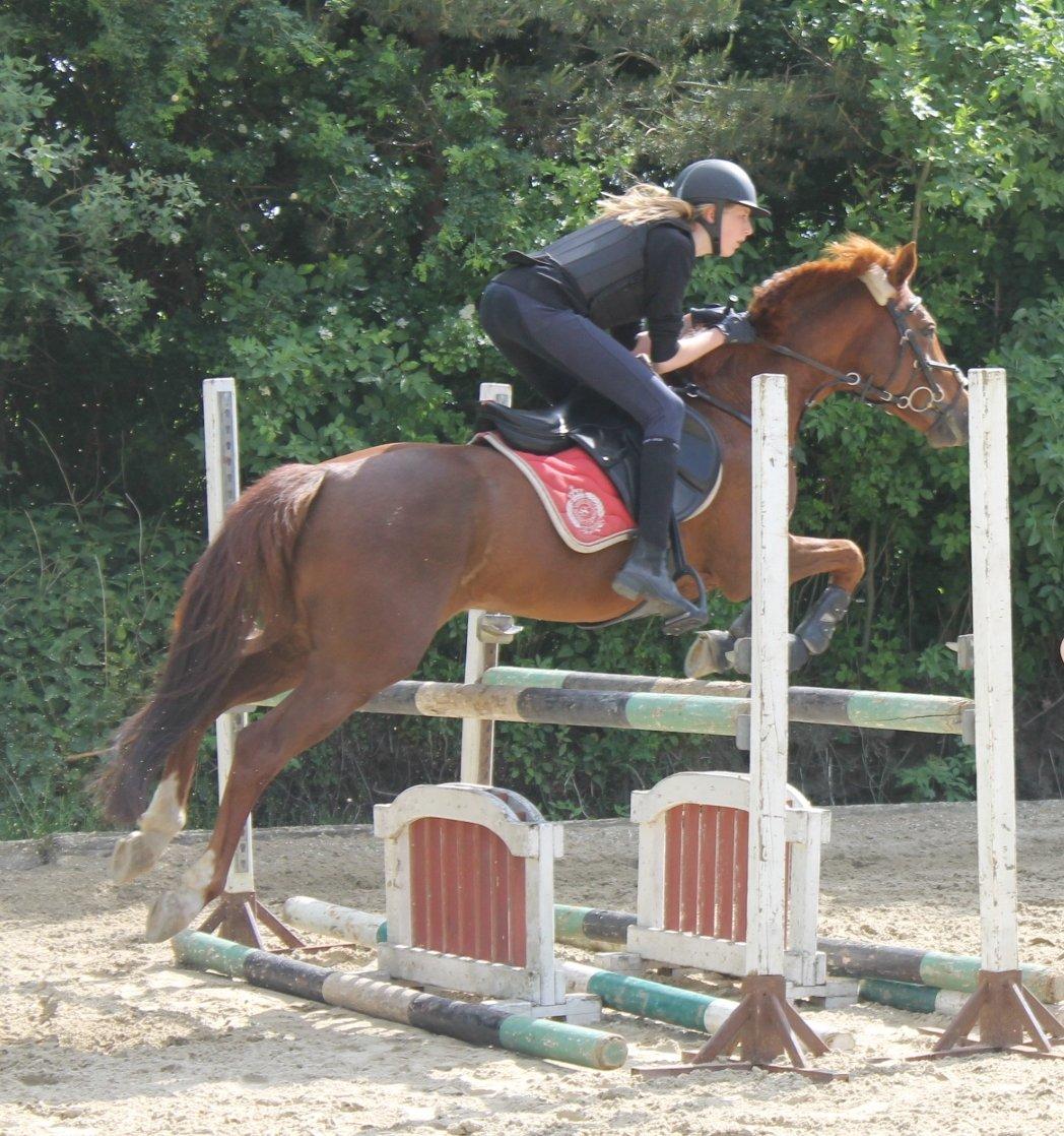 Anden særlig race Clements Penelope - Springtræning! billede 28
