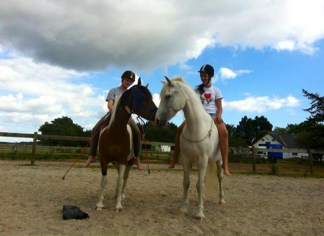 Connemara Gangster *•my soulmate•* - Hygge med de bedste! Intet bedre.. billede 2