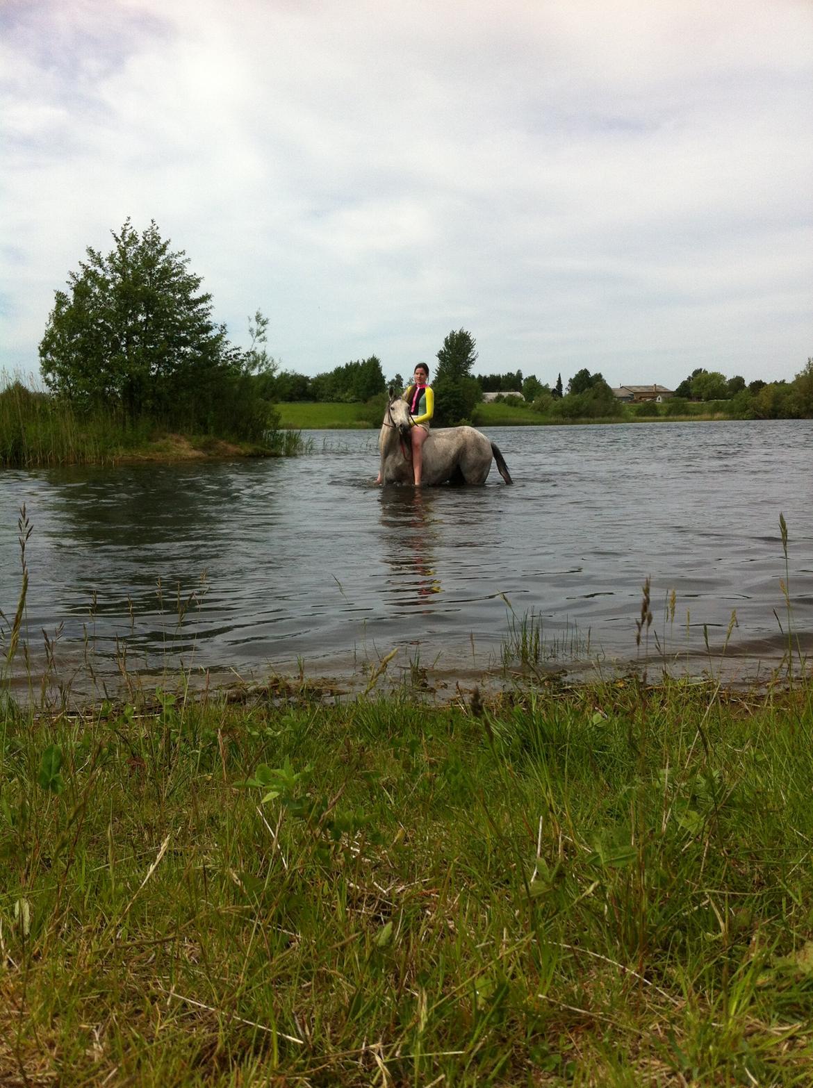 Arabisk fuldblod (OX) Jalle - så er vi lige ude og bade, og det nyder vi jo i fulde drag :)  billede 5