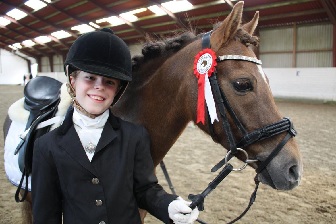 Welsh Pony (sec B) Stoak Laura (Stoakie) - Vi fik en 1.plads  billede 14