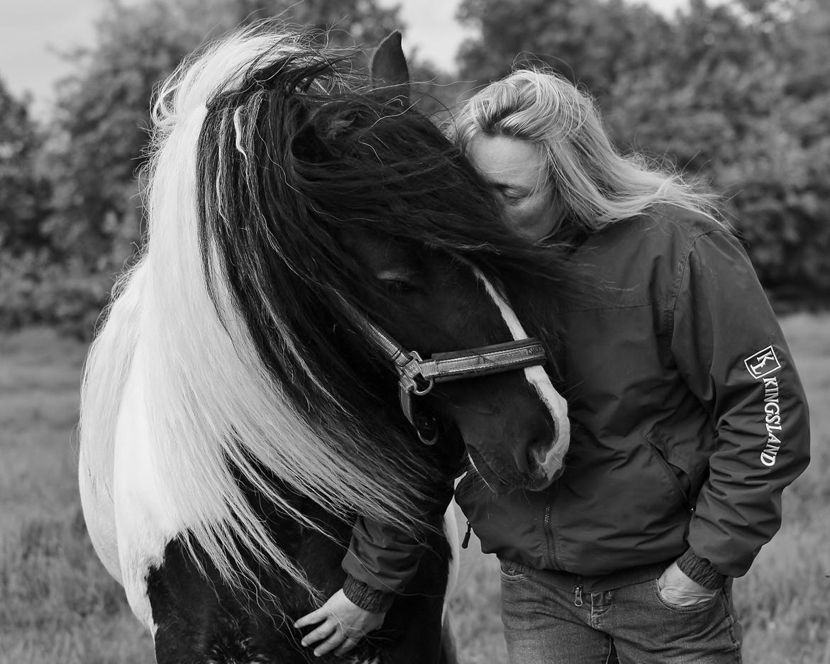 Tinker Lady Harmonie - Sommerkys
 billede 13