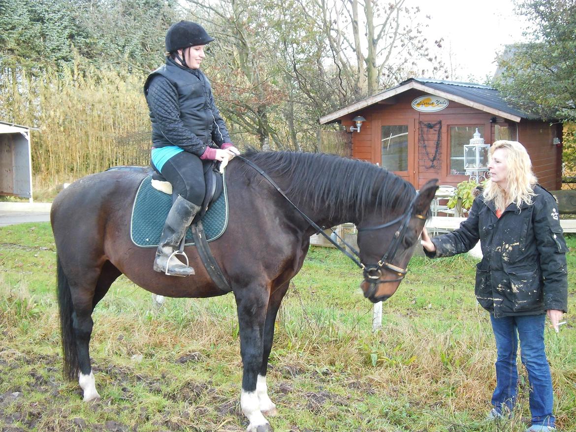 Holstener LIKA AF KONGEÅDAL - ny ride hest på pindborgen
dejlige Lika billede 1