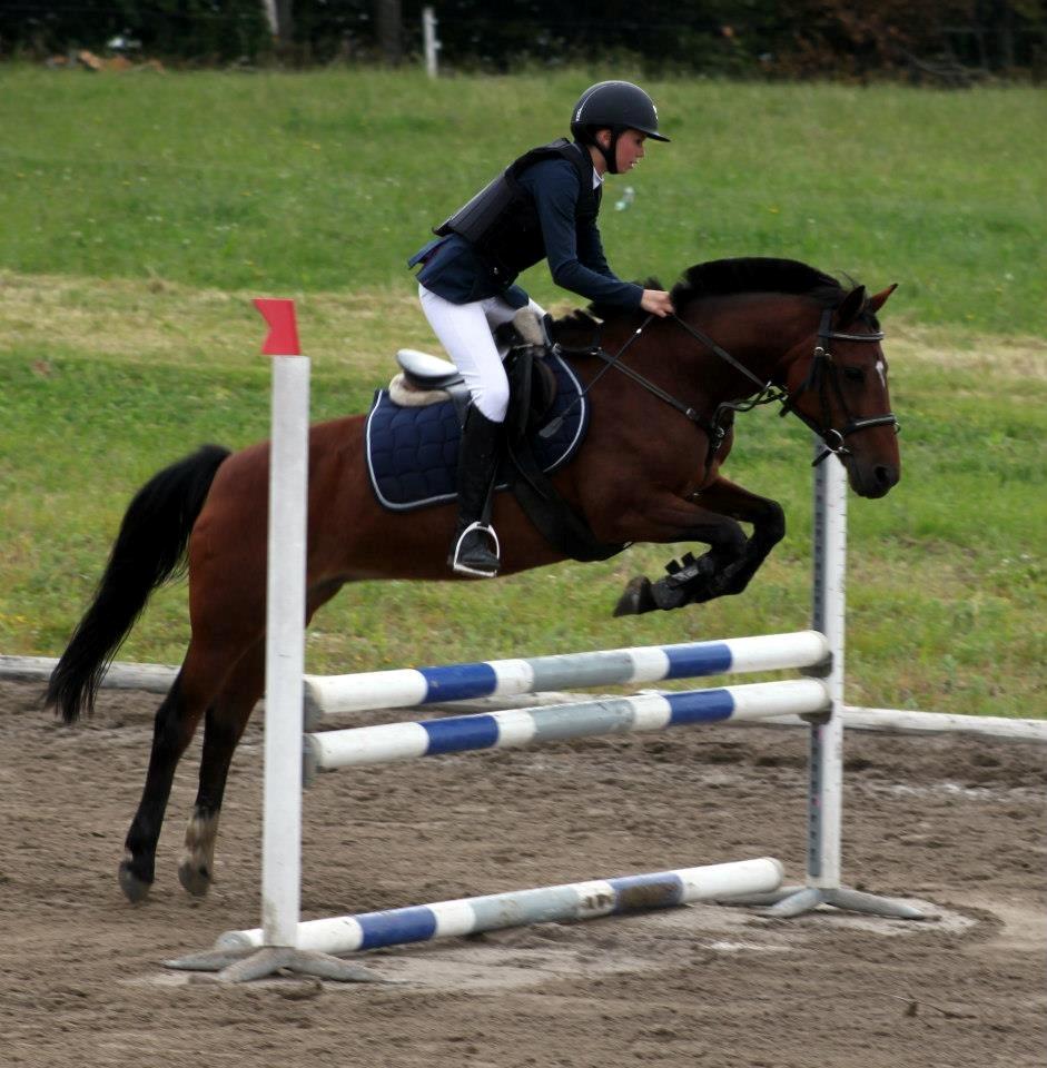 Anden særlig race Bianca billede 9