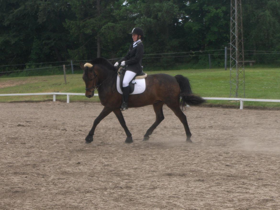 Anden særlig race Balou - LA 1 i mod heste!  billede 11