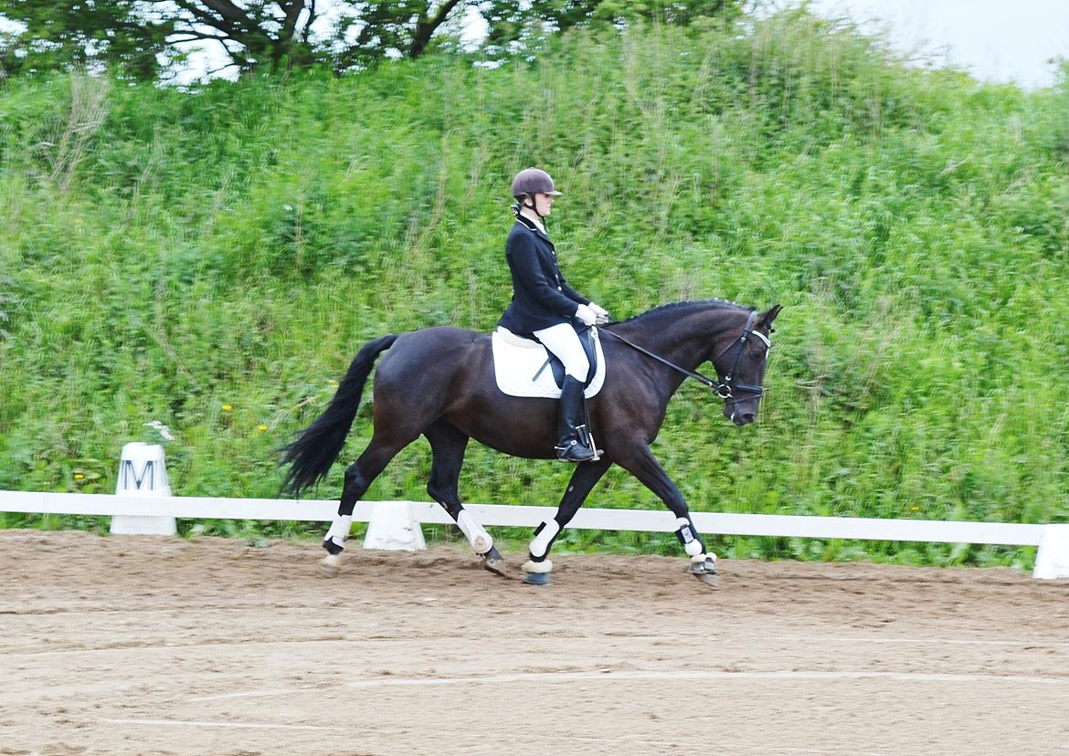 Anden særlig race Lady Gaga billede 8