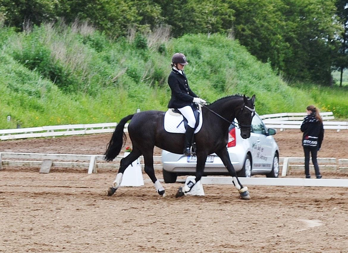 Anden særlig race Lady Gaga billede 10