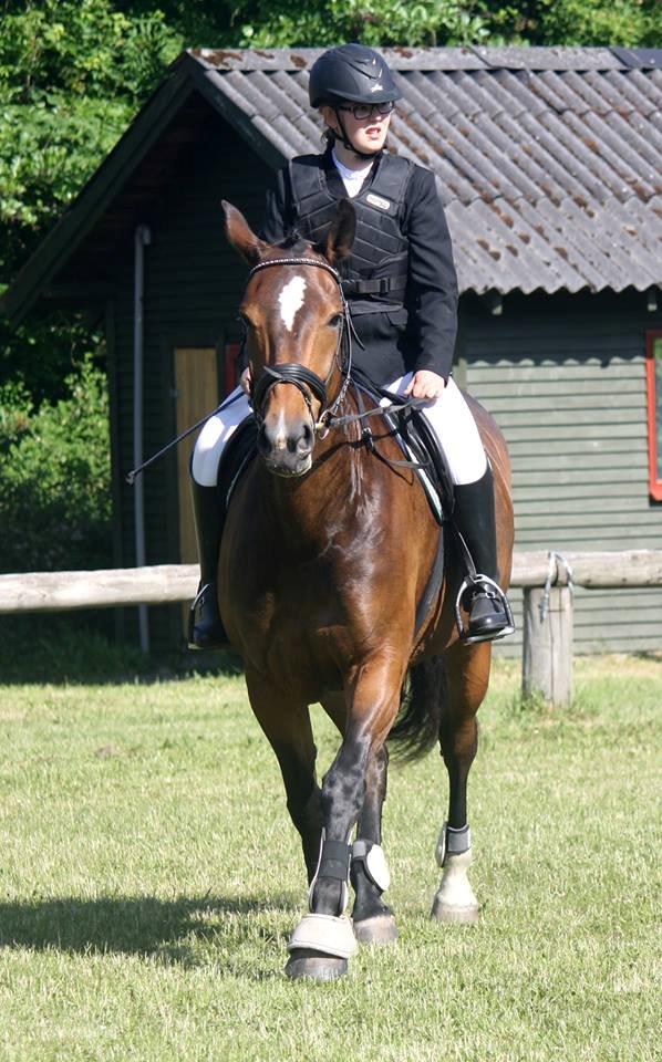 Dansk Varmblod Bakkegaarden's jasmin - Velkommen til Musses side<3 Vi er til stævne i Hyllebjerg<3 billede 8