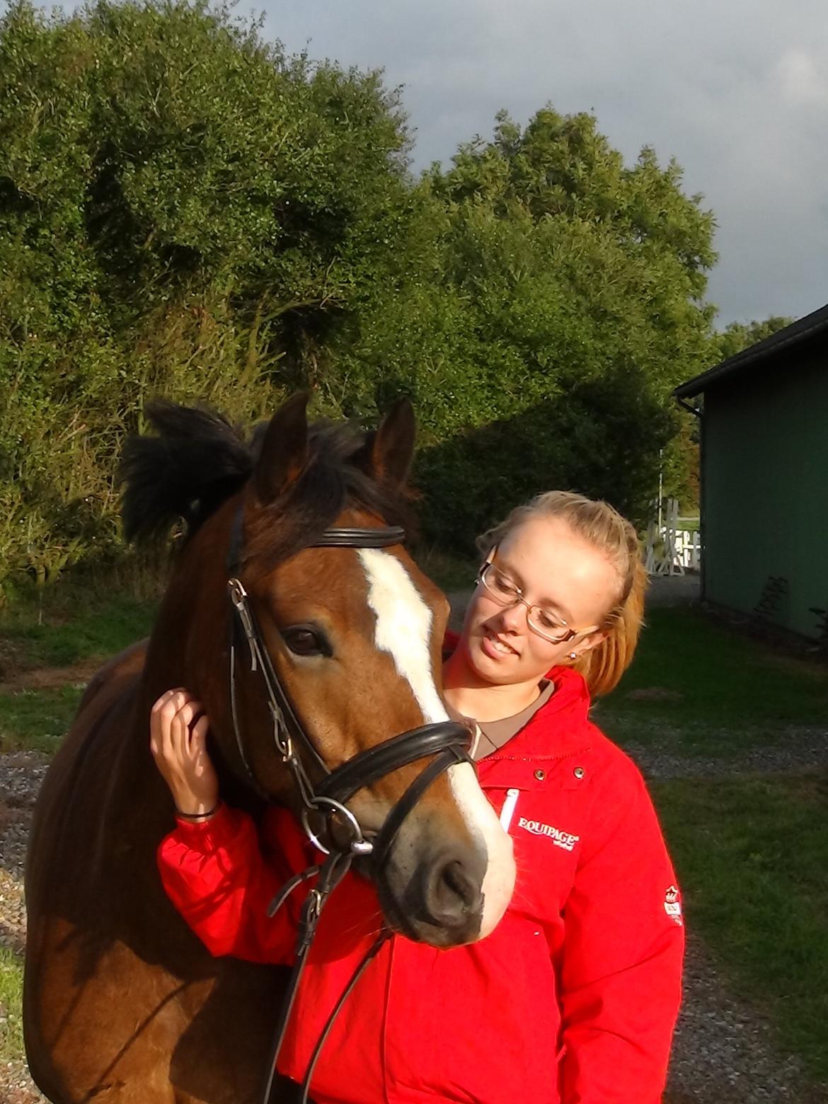 Anden særlig race Kaspar billede 4