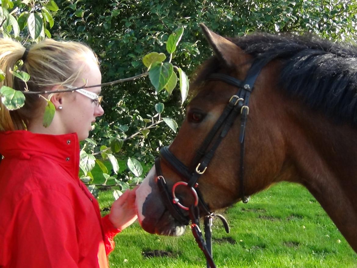 Anden særlig race Kaspar billede 9