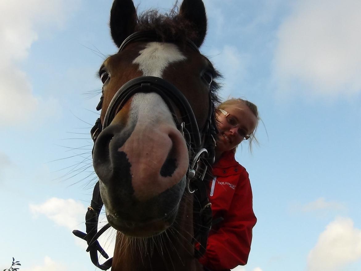 Anden særlig race Kaspar - Du for mig til at føle vi flyver! billede 20