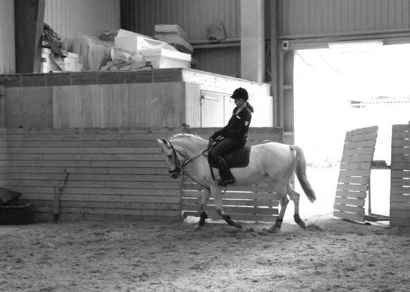 Anden særlig race Misty - Dressur den 16 juni 2013 <3 billede 16