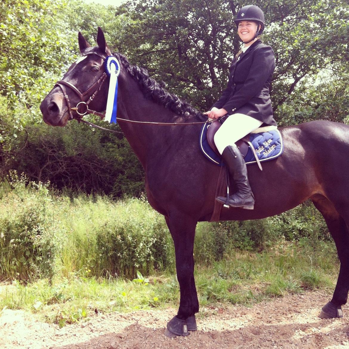 Dansk Varmblod - Carnival (B-HEST) [HIMMEL HEST] - 7) billede 7