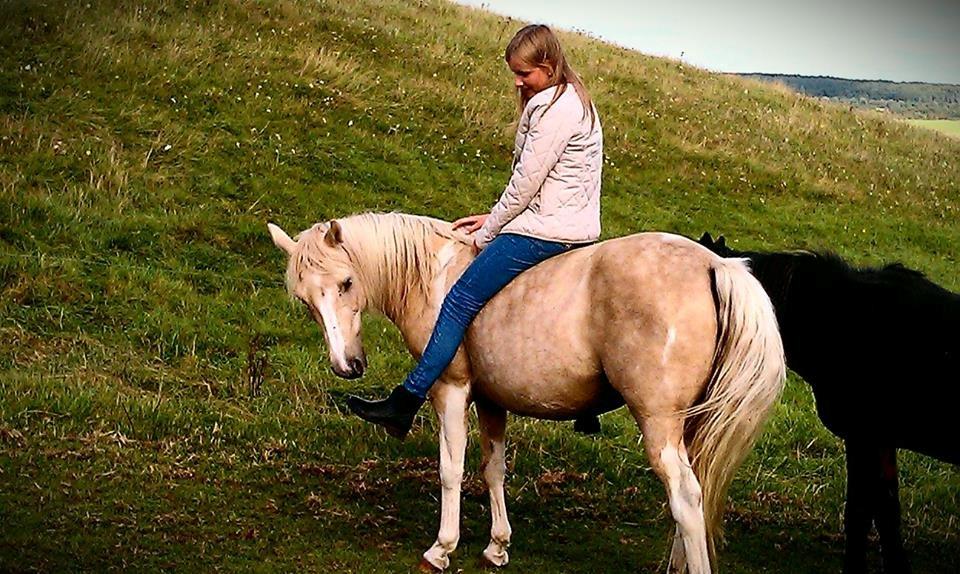 Anden særlig race Blondie billede 1