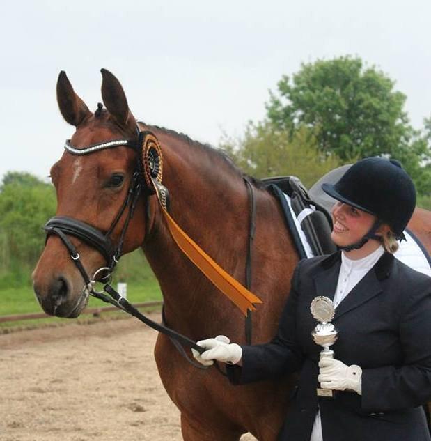 Dansk Varmblod Holstegårds Picachia  - Kommunemestre 2013 - Jeg elsker dig <3 billede 1