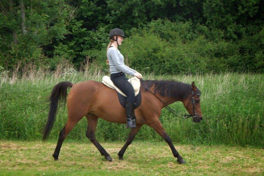 DSP Reb'l Fleur - juni 2013 billede 18