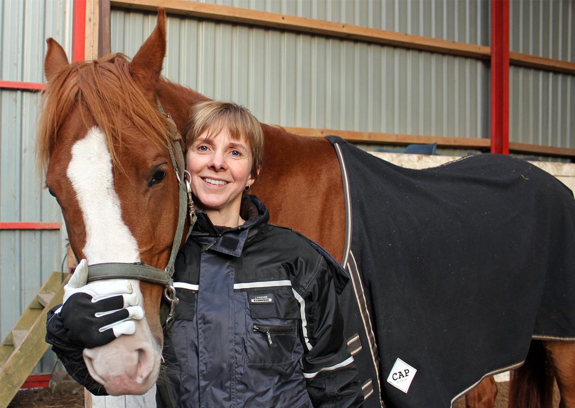 Palomino Marielyst Mr. Perfect - Min mor og Pøf billede 4