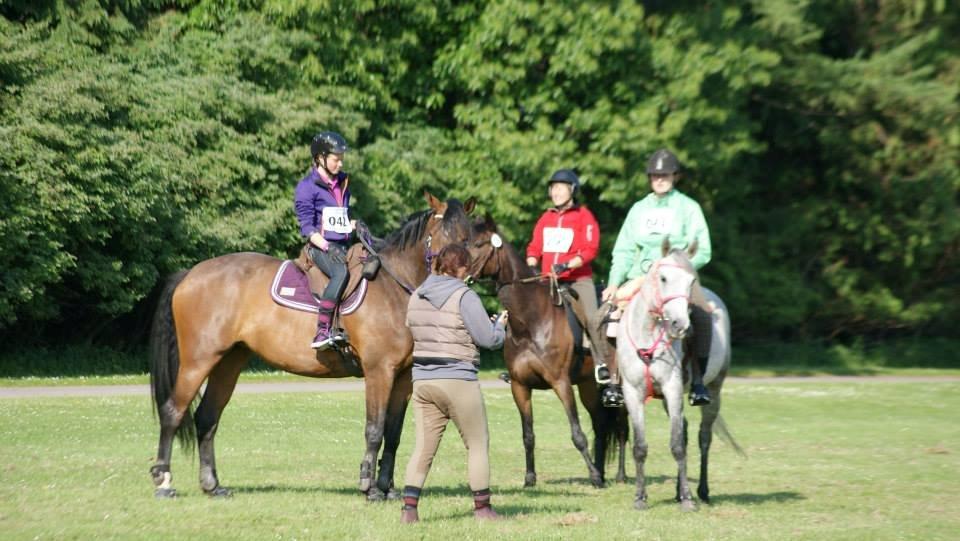 Anden særlig race India - Hippoaden 2013, 25 km  billede 21