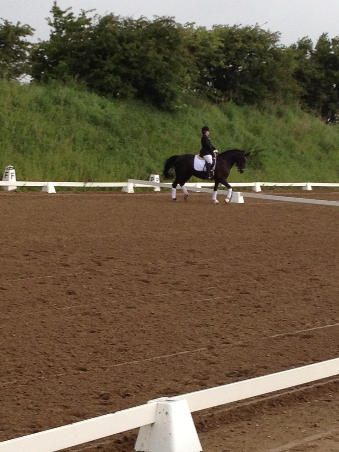 Anden særlig race Frida billede 9