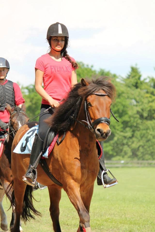 Gotlandsruss Eruss <3 billede 7