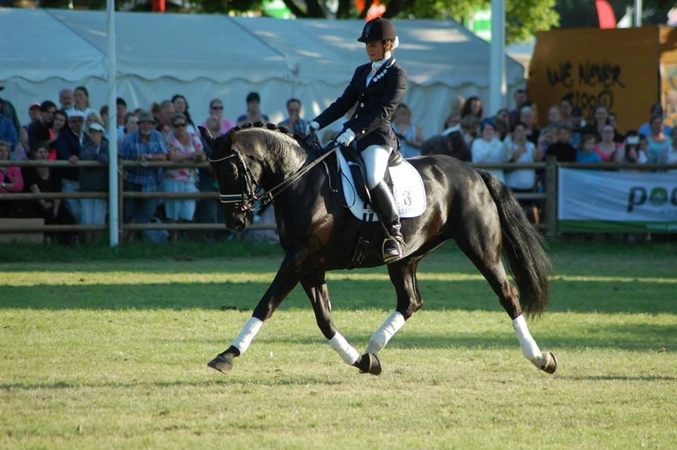 Oldenborg Evita af Hvarre billede 3