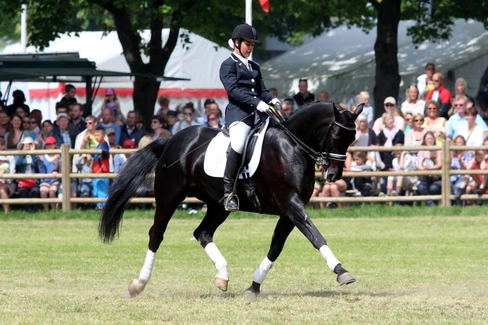 Oldenborg Evita af Hvarre billede 1