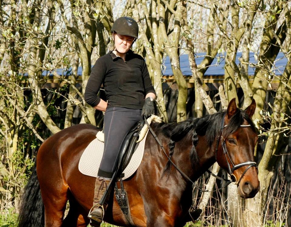 Dansk Varmblod Master's Future - Foto: Stine Beeson billede 11