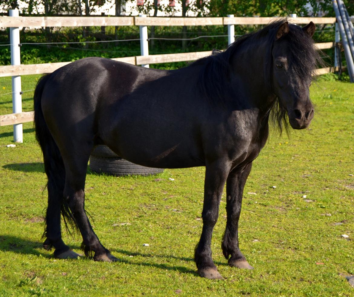 DSP Beauty - 
Foto: Mig billede 7