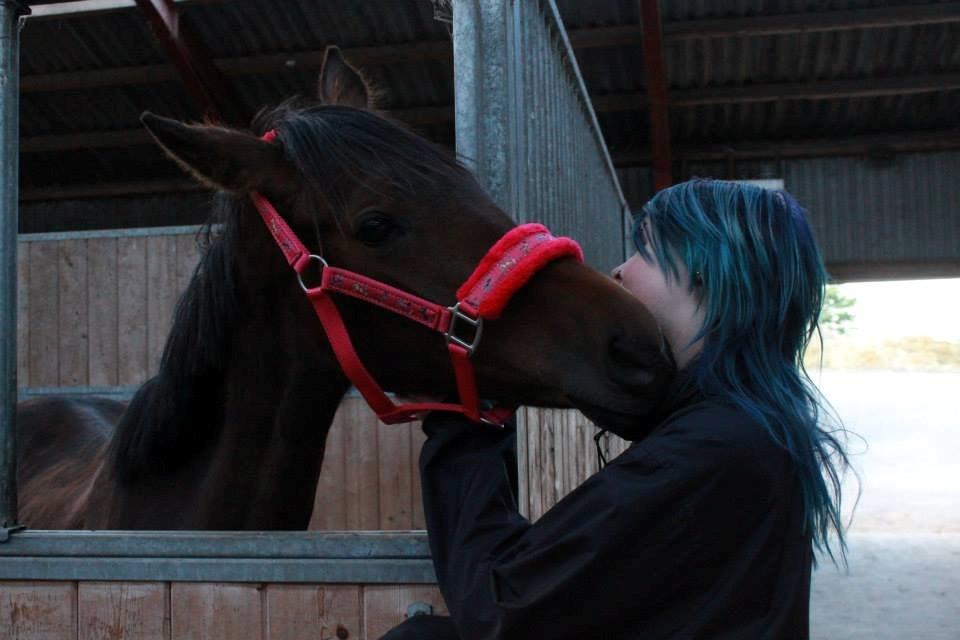 Anden særlig race Lovely - ©NOW billede 7