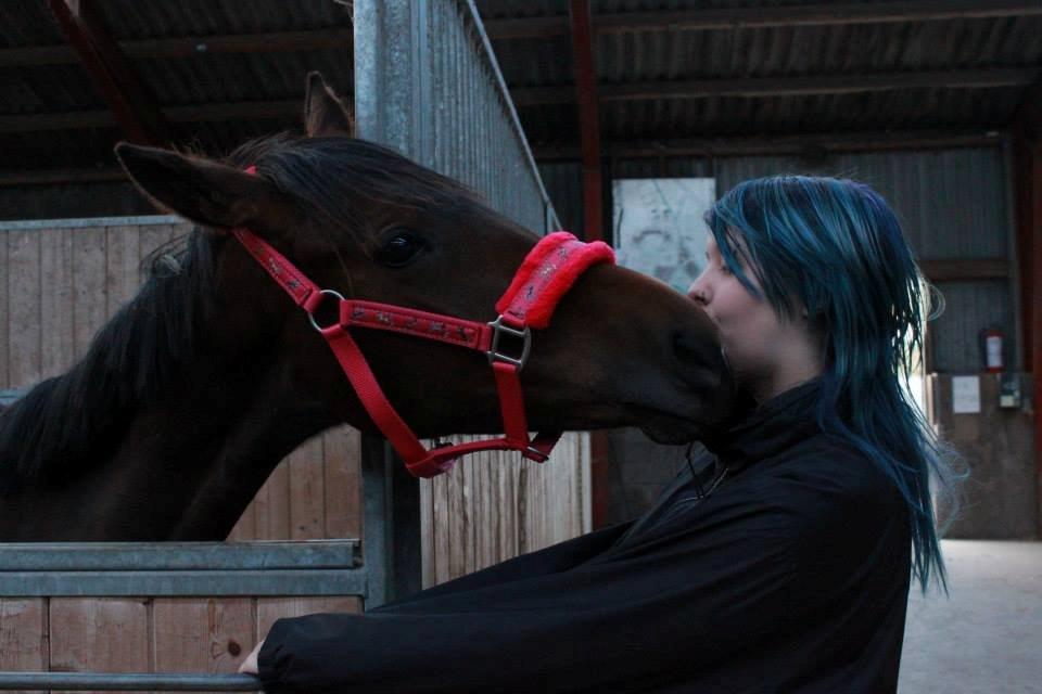 Anden særlig race Lovely - ©NOW billede 18