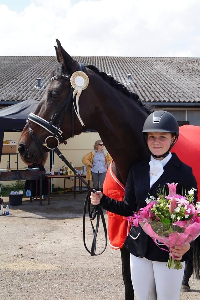 Dansk Varmblod Hanky Panky Firfod - Klubmester i dressur 2013! Vandt en LA1 med 68,85 % Stjerne hest! billede 3