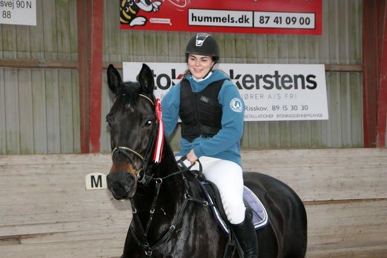 Dansk Varmblod Pilelundens Lucky Star billede 5