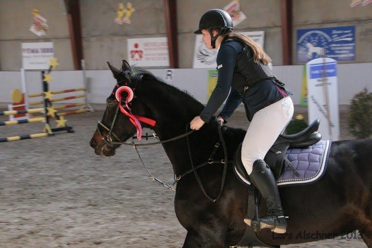 Dansk Varmblod Pilelundens Lucky Star billede 9