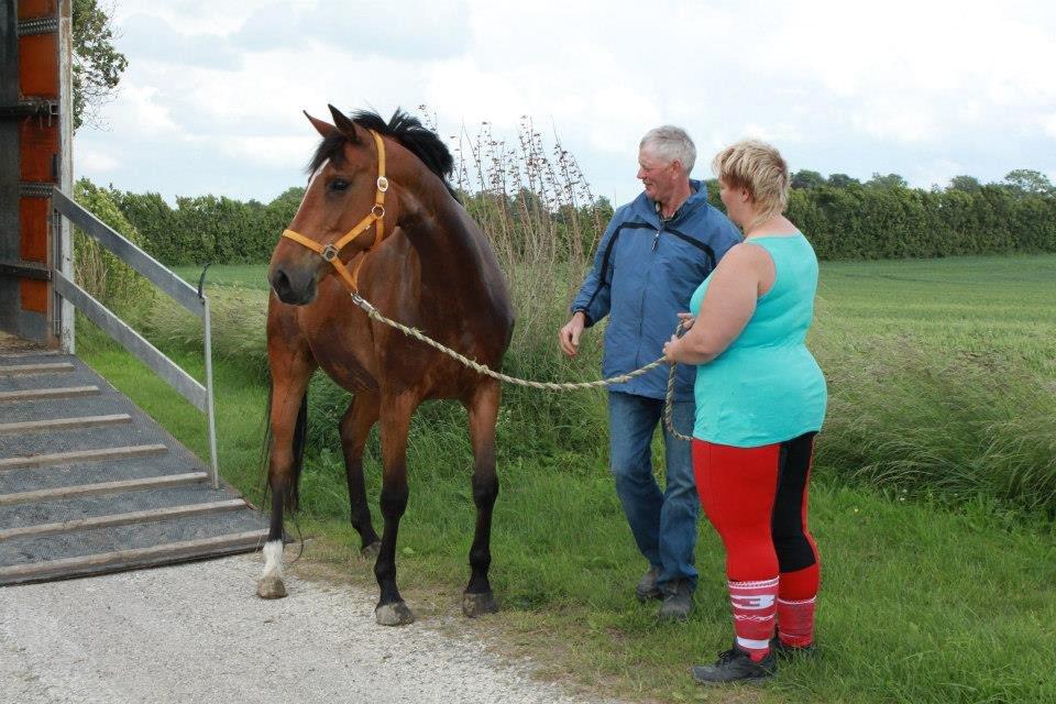 Anden særlig race Mathilde? billede 9
