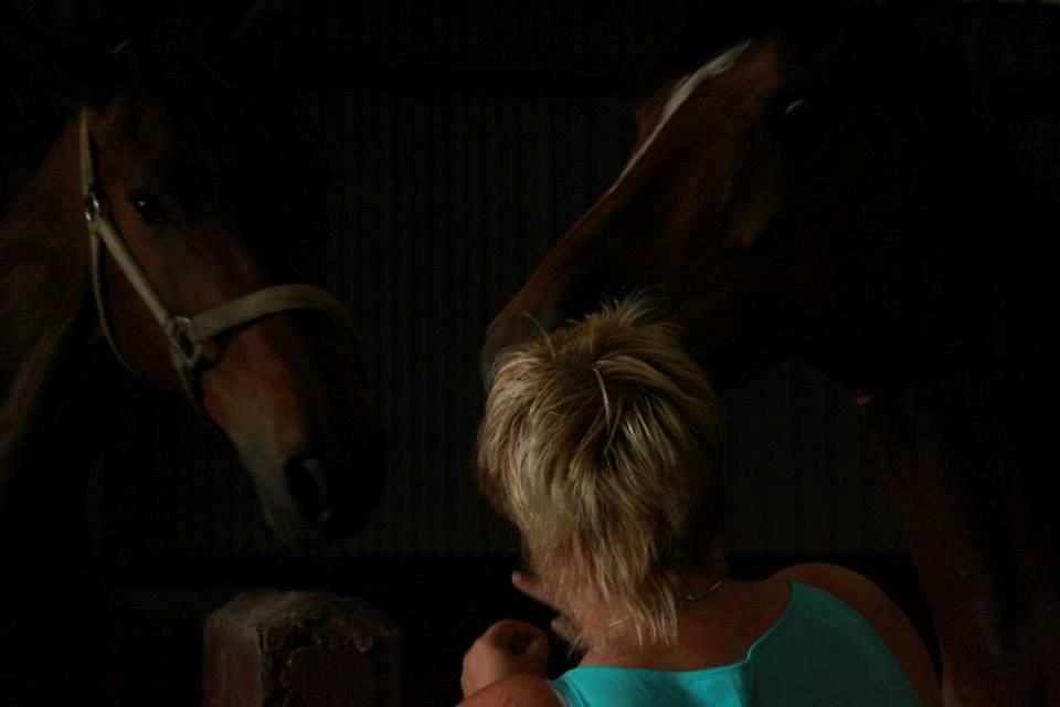 Anden særlig race Mathilde? billede 10