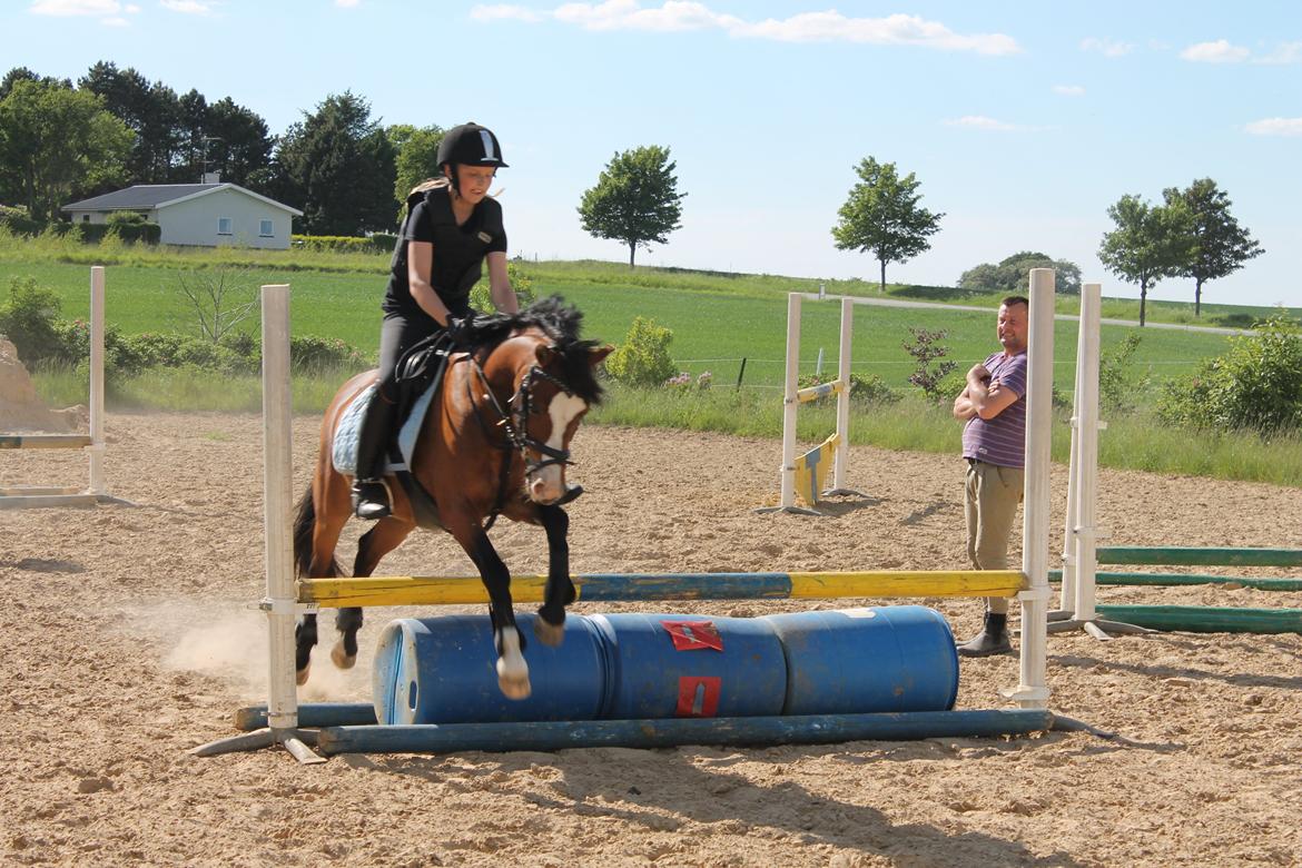 Welsh Pony (sec B) Rakt's Britney solgt - tønde spring. Sprang det også i 70 på bane billede 4