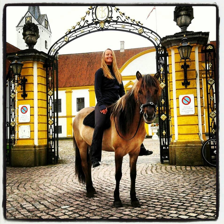 Islænder Sif frá Skarholt - Ved Dronninglund Slot juni 2013 billede 9