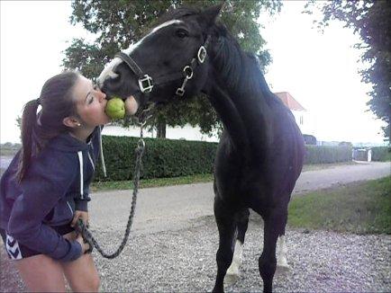 Anden særlig race Bertil - You're the apple to my pie,
You're the straw to my berry,
You're the smoke to my high,
And you're the one I wanna marry,
Bertil og jeg, juni 2013. billede 10