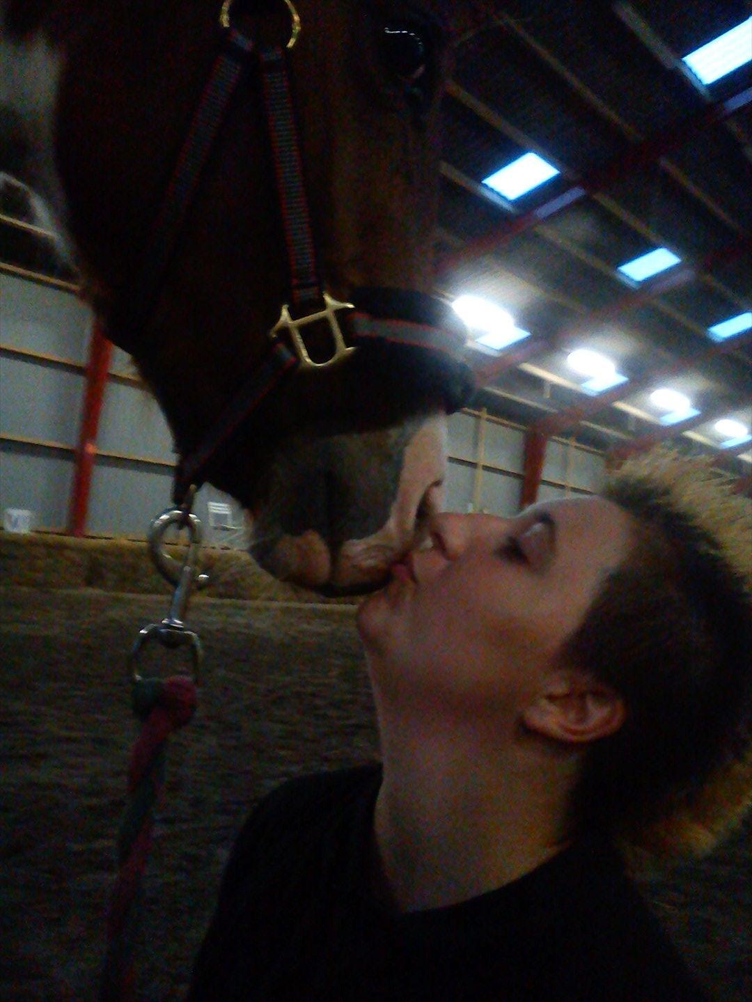 Pinto Honey Blossom Shiela billede 5