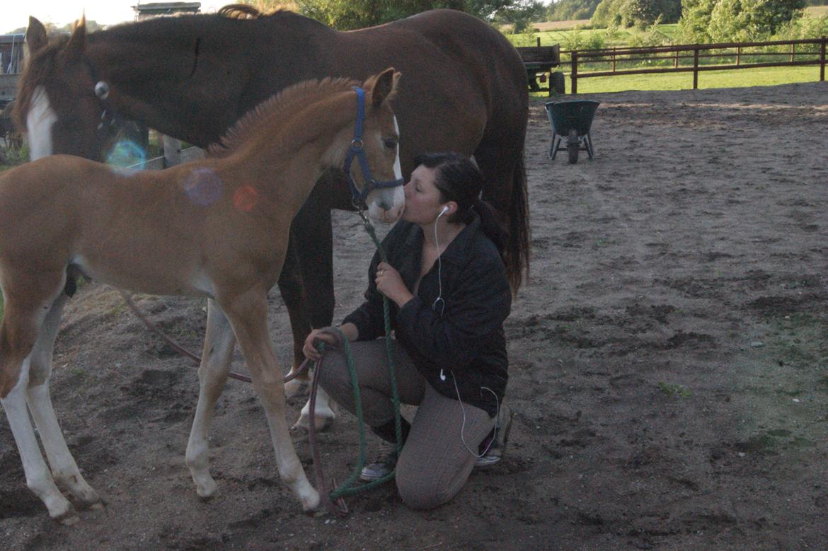 Anden særlig race Vandløbsgaardens Chili-Shakealot - Kys, fordi jeg elsker dig! billede 14