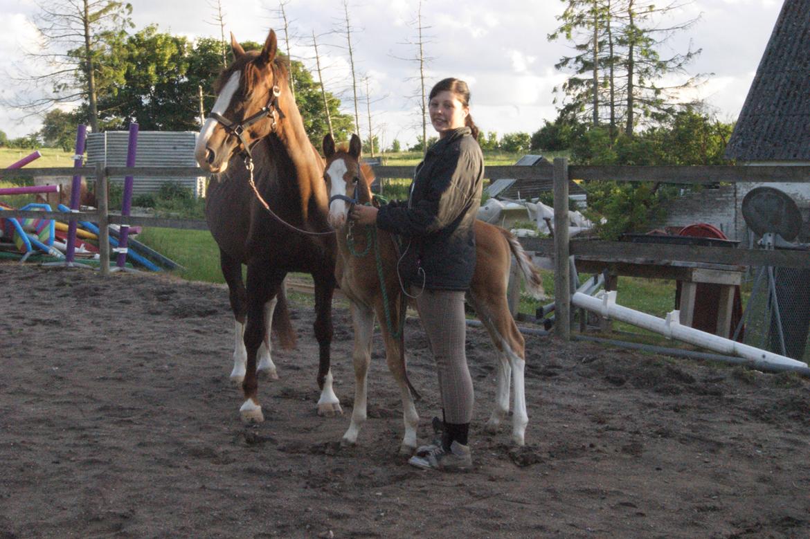 Anden særlig race Vandløbsgaardens Chili-Shakealot billede 17